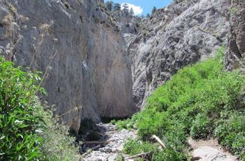 Little Falls
